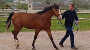 Jumbo De Villeneuve